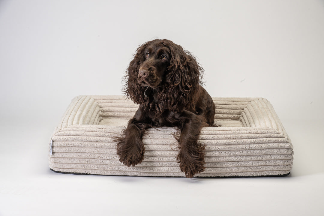 Hundebett Nava