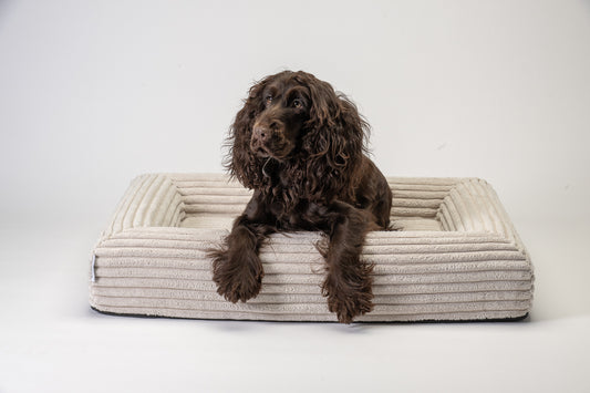 Hundebett Nava